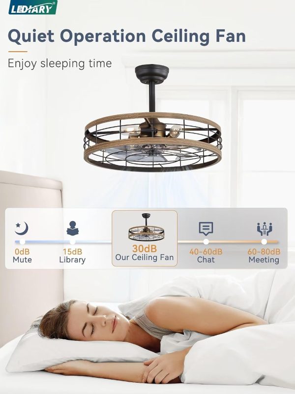 windphoto 22 inch Caged Fandelier Ceiling Fan Light with Remote, Brown | 6 Speed Adjustable,Timing, Quiet & Powerful DC, Large, Farmhouse, Industrial, Enclosed, Bladeless, Bedroom, Kitchen, Downrod