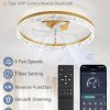 windphoto 20" Modern Ceiling Fans with Lights and Remote, Dimmable Low Profile Ceiling Fan, Flush Mount Fan, Stepless Color Temperature Change and 6 Speeds - Gold | Fandelier, Dimmable Low Profile, Flush Mount, Stepless Color Temperature Change, 6 Speeds, Bedroom, Living Room, Kitchen