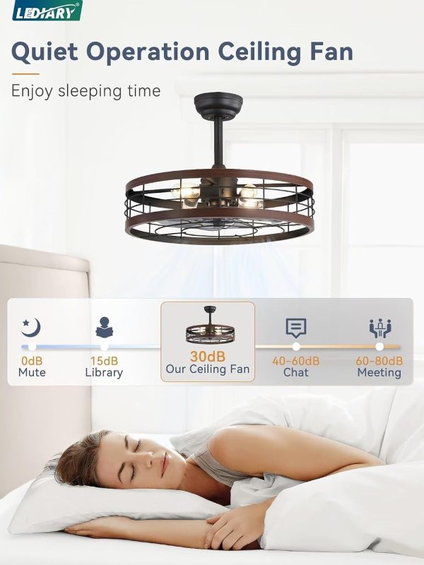 71-r7wWyqZL._AC_SL1500_.jpg windphoto 22 inch Caged Fandelier Ceiling Fan Light with Remote, Walnut | 6 Speed Adjustable,Timing, Quiet & Powerful DC, Small, Farmhouse, Industrial, Enclosed, Bladeless, Bedroom, Kitchen, Downrod