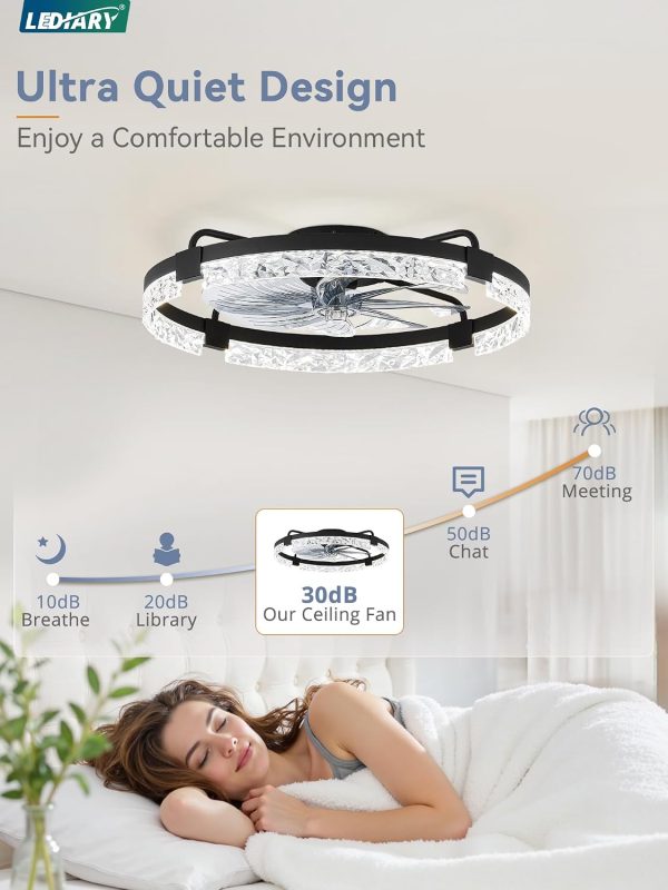 windphoto 2-Pack 24" Ceiling Fans with Lights, APP & Remote, Black | Low Profile, Flush Mount, Fandelier, 3000K-6000K, Dimmable LED, for Bedroom