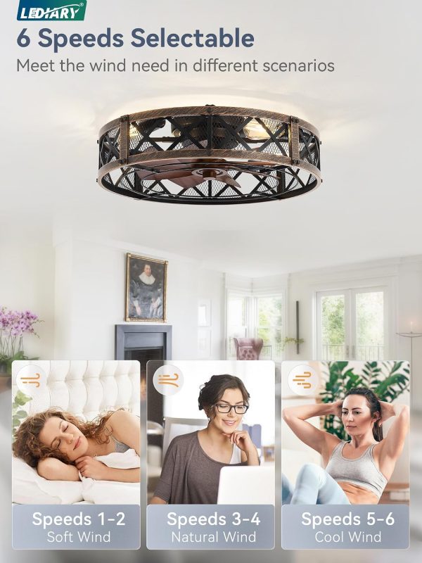 7108CEn8cWL._AC_SL1500_.jpg windphoto 23" Caged Farmhouse Ceiling Fan with Light, Flush Mount, Black Gold | Remote&APP Control, Large Low Profile, Rustic Fandaliers, Industrial Bladeless Enclosed, Powerful Motor for Bedroom, Kitchen