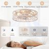 windphoto Caged Ceiling Fan with Light, Flush Mount Fandalier with Remote | Low Profile, Farmhouse Small, Bladeless Industrial, Quiet DC Motor, App Control for Bedroom, Kitchen, Dining Room, White Gold