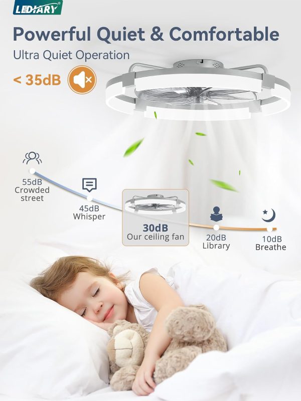 windphoto 24" Ceiling Fans with Lights, Low Profile Fandelier for Bedroom | Flush Mount Fan Light, Stepless Dimmable, App/Remote Control, 3 CCT Led, 6 Speeds, Quiet Reversible DC Motor, Grey