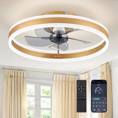 710fPOba6aL._AC_SL1500_.jpg windphoto 19.7'' Modern Low Profile Ceiling Fans with Lights and Remote,Gold | 3000-6000K Dimmable LED, 6 Wind Speeds, Quiet Reversible DC Motor, Small Flush Mount Fandelier for Bedroom, Living Room