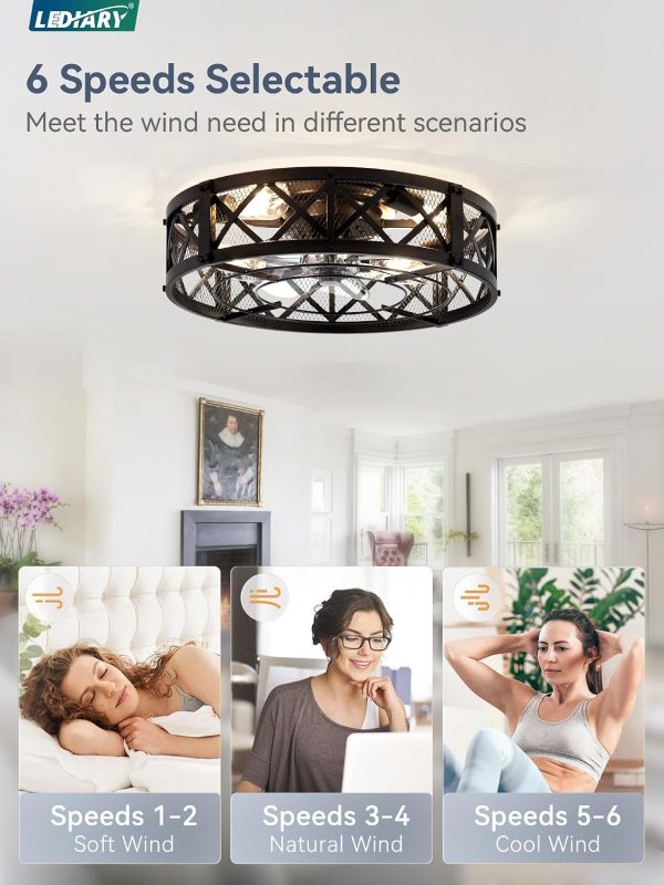 windphoto 20" Caged Farmhouse Ceiling Fan with Light, Flush Mount, Black | Remote&APP Control, Small Low Profile, Rustic Fandaliers, Industrial Bladeless Enclosed, Powerful Motor for Bedroom, Kitchen