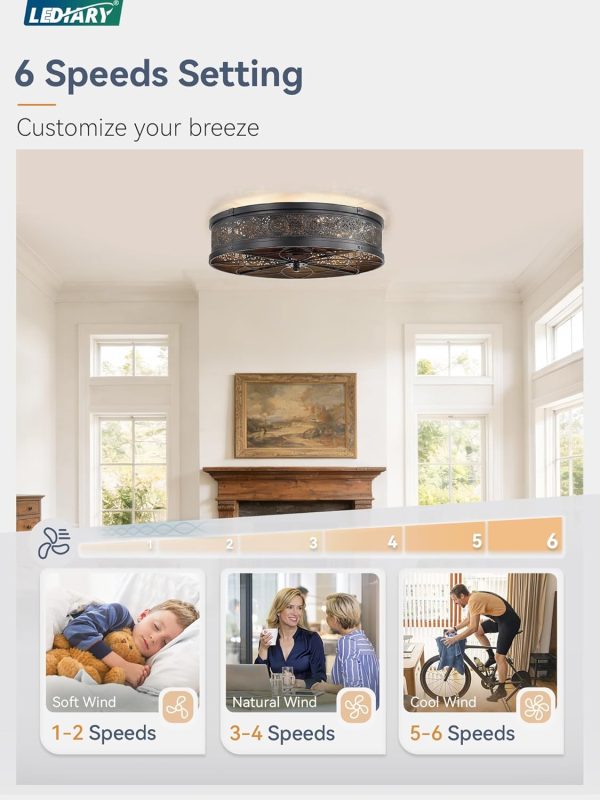 windphoto 20" Caged Farmhouse Ceiling Fan and Light with Remote, Black | Flush Mount, Bladeless Enclosed Fandelier, 6 Speed, Quiet Powerful DC, Rustic,Vintage, Rustic, Small, Bedroom, Kitchen