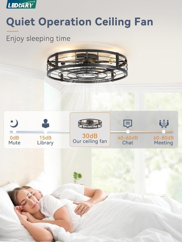 windphoto 26" Black Caged Low Profile Ceiling Fan with Light and Remote | Flush Mount, Bladeless Enclosed Fandelier, 6 Speed, Quiet Powerful DC, Rustic,Farmhouse, Large, Bedroom, Kitchen, Indoor