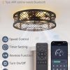 7127RtD2qhL._AC_SL1500_.jpg windphoto 20" Caged Ceiling Fan with Light and Remote, Small Fandalier, Black | Flush Mount Low Profile, APP Control, Bladeless Industrial Enclosed, Quiet & Powerful for Bedroom, Kitchen, Dining Room