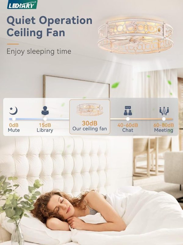 712XUR51jtL._AC_SL1500_.jpg windphoto 23 Inch Caged Flush Mount Ceiling Fans with Lights, White Gold | Low Profile, Farmhouse, Bladeless Enclosed Fandelier, Small, 6 Speed, Quiet Powerful DC, Bedroom, Kitchen, Living Room,