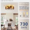 windphoto 20" Caged Low Profile Enclosed Ceiling Fan Light with Remote | Flush Mount, Bladeless Enclosed Fandelier, 6 Speed, Quiet Reversible DC, Rustic, Victorian, Rustic, Bedroom, Kitchen