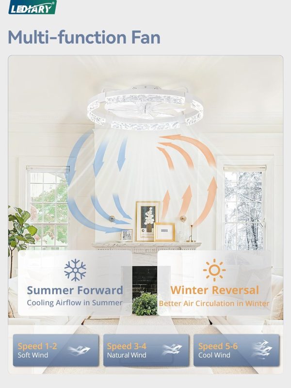 windphoto 2-Pack 24" Ceiling Fans with Lights, APP & Remote, White | Low Profile, Flush Mount, Fandelier, 3000K-6000K, Dimmable LED, for Bedroom