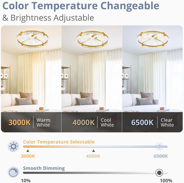 windphoto 2 Pack 24" Ceiling Fans with Lights and Remote, Fandelier Gold | 3CCT, 6 Speeds, Dimmable Low Profile, Flush Mount Ceiling Fan, Timer, Reversible, Memory, Bedroom, Living Room, Kitchen