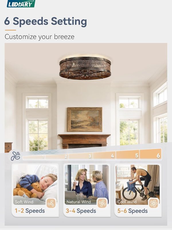 714Txa3md9L._AC_SL1500_.jpg windphoto 20" Caged Farmhouse Ceiling Fan and Light with Remote, Black Gold | Flush Mount, Bladeless Enclosed Fandelier, 6 Speed, Quiet Powerful DC, Rustic,Vintage, Rustic, Small, Bedroom, Kitchen