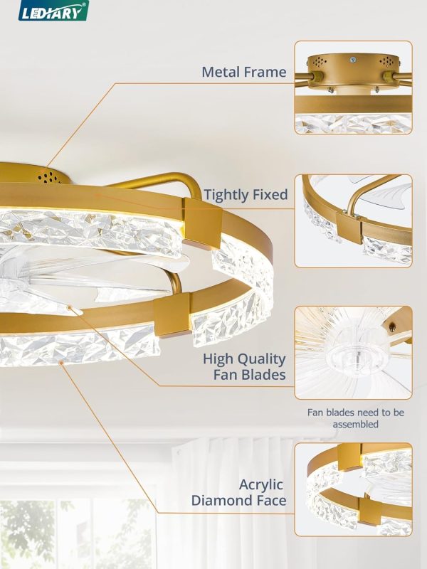 windphoto 24" Low Profile Ceiling Fans with Lights, APP & Remote, Gold | Flush Mount, Fandelier, 3000K-6000K, Dimmable LED, for Bedroom