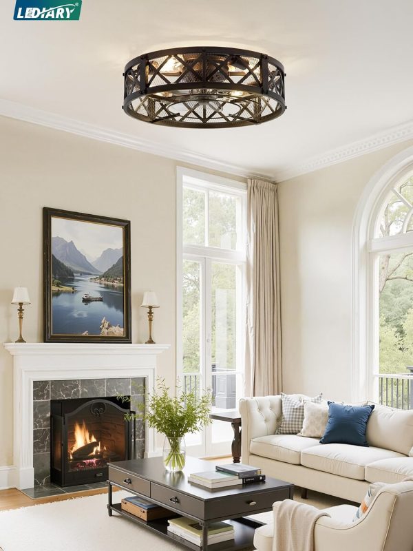 windphoto 20" Caged Farmhouse Ceiling Fan with Light, Flush Mount, Black | Remote&APP Control, Small Low Profile, Rustic Fandaliers, Industrial Bladeless Enclosed, Powerful Motor for Bedroom, Kitchen