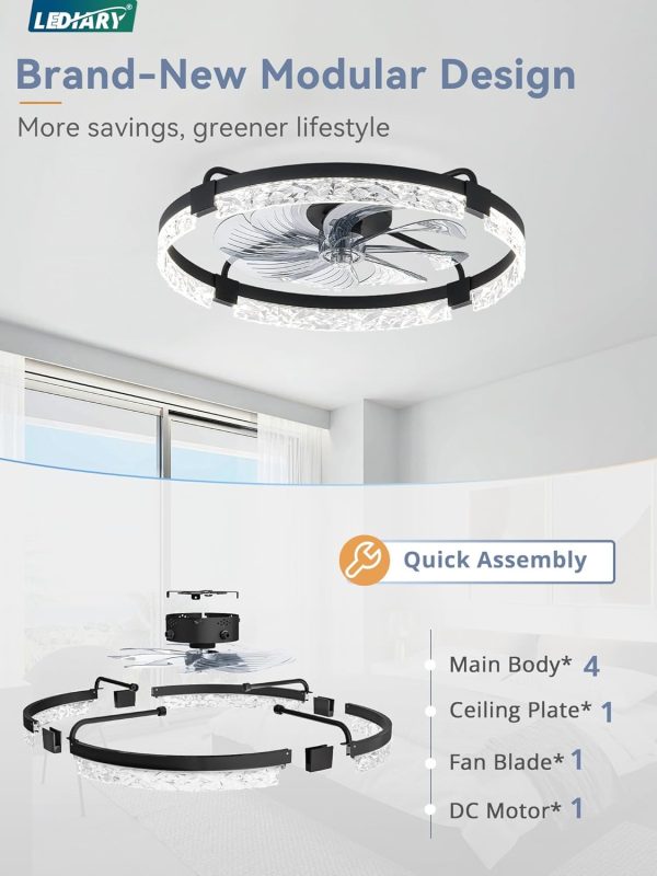 windphoto 24" Low Profile Ceiling Fans with Lights, APP & Remote, Black | Flush Mount, Fandelier, 3000K-6000K, Dimmable LED, for Bedroom