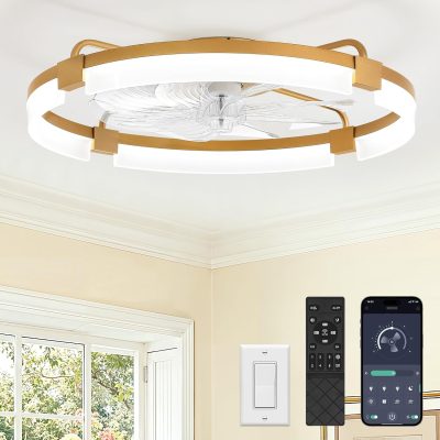 windphoto 24" Ceiling Fans with Lights, Low Profile Fandelier for Bedroom | Flush Mount Fan Light, Stepless Dimmable, App/Remote Control, 3 CCT Led, 6 Speeds, Quiet Reversible DC Motor, Gold