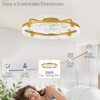 windphoto 2-Pack 24" Ceiling Fans with Lights, APP & Remote, Gold | Low Profile, Flush Mount, Fandelier, 3000K-6000K, Dimmable LED, for Bedroom