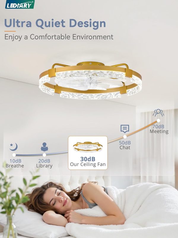 windphoto 2-Pack 24" Ceiling Fans with Lights, APP & Remote, Gold | Low Profile, Flush Mount, Fandelier, 3000K-6000K, Dimmable LED, for Bedroom