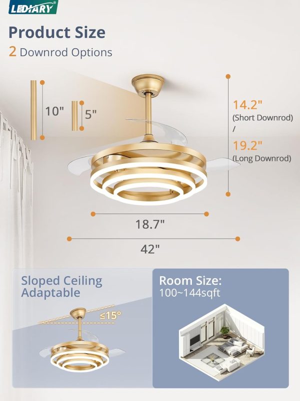 windphoto 42 Inch Retractable Ceiling Fan with Lights, Modern Gold Fandelier | 6 Speeds, 3000K-6000K Adjustable, DC Motor, Chandelier Ceiling Fans with Lights and Remote for Bedroom Living Room