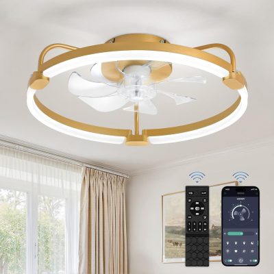 717809QJxgL._AC_SL1500_.jpg windphoto 20" Ceiling Fans with Lights and Remote, Low Profile Led Fan Light | Flush Mount, Stepless Dimmable Fandelier, 6 Speeds, 3 CCT, Quiet Reversible DC Motor, 2H Timer, Bedroom, Living Room, Gold