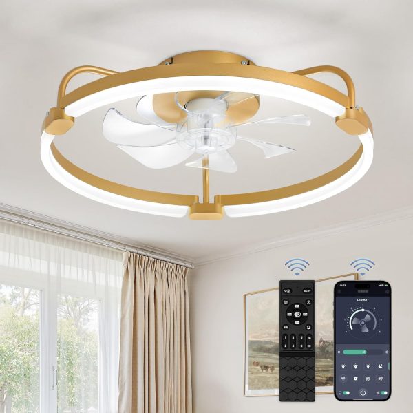 717809QJxgL._AC_SL1500_.jpg windphoto 20" Ceiling Fans with Lights and Remote, Low Profile Led Fan Light | Flush Mount, Stepless Dimmable Fandelier, 6 Speeds, 3 CCT, Quiet Reversible DC Motor, 2H Timer, Bedroom, Living Room, Gold