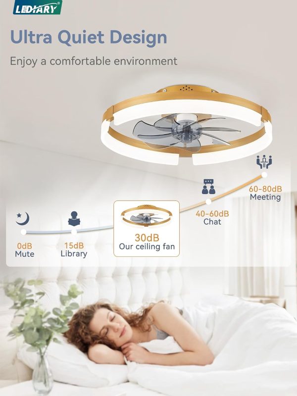 717Em00WfL._AC_SL1500_.jpg windphoto 19.7" Ceiling Fans with Lights, Low Profile Fandelier for Bedroom | Flush Mount Fan Light, Stepless Dimmable, App/Remote Control, 3 CCT Led, 6 Speeds, Quiet Reversible DC Motor, Gold