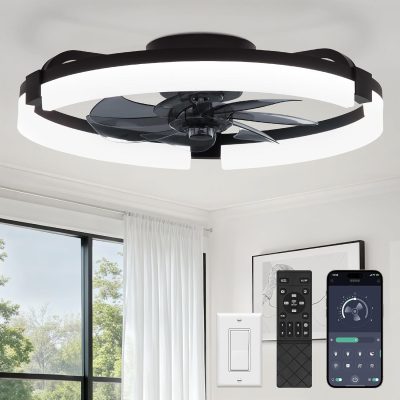 717RgCwS7uL._AC_SL1500_.jpg windphoto 20" Ceiling Fans with Lights, Low Profile Fandelier for Bedroom | Flush Mount Fan Light, Stepless Dimmable, App/Remote Control, 3 CCT Led, 6 Speeds, Quiet Reversible DC Motor, Black