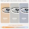 windphoto 20" Low Profile Ceiling Fans with Lights, APP & Remote, Black | Flush Mount, Dimmable LED, Quiet DC Motor, Reversible, 6 Speeds, Fandelier, for Bedroom