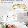 windphoto 24" Ceiling Fans with Lights and Remote, Low Profile Led Fan Light | Flush Mount, Stepless Dimmable Fandelier, 6 Speeds, 3 CCT, Quiet Reversible DC Motor, 2H Timer, Bedroom, Living Room, Gold