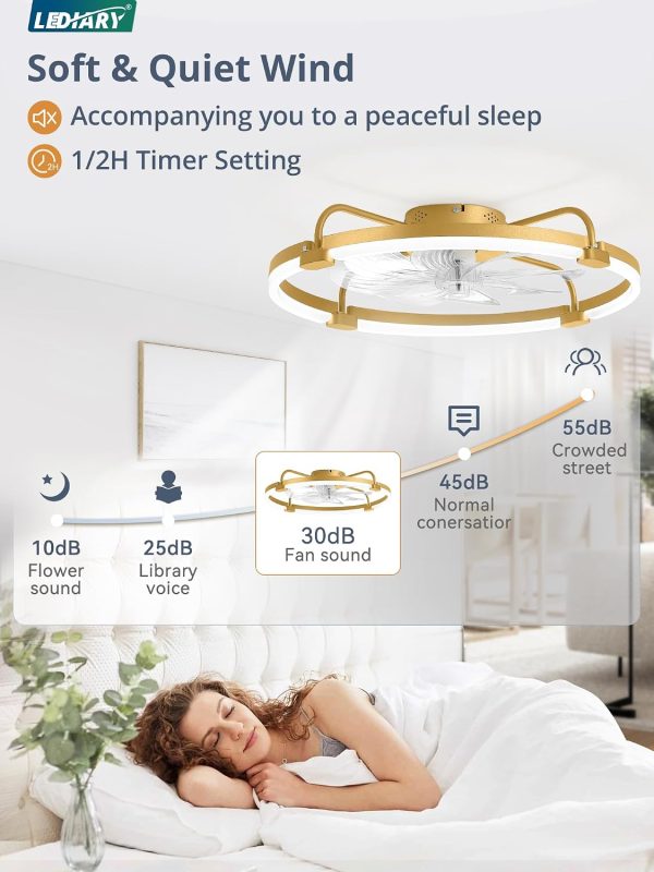 windphoto 24" Ceiling Fans with Lights and Remote, Low Profile Led Fan Light | Flush Mount, Stepless Dimmable Fandelier, 6 Speeds, 3 CCT, Quiet Reversible DC Motor, 2H Timer, Bedroom, Living Room, Gold