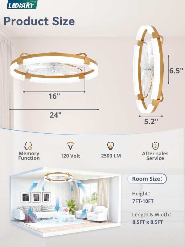 windphoto 24" Ceiling Fans with Lights, Low Profile Fandelier for Bedroom | Flush Mount Fan Light, Stepless Dimmable, App/Remote Control, 3 CCT Led, 6 Speeds, Quiet Reversible DC Motor, Gold