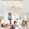 windphoto 20" Caged Farmhouse Ceiling Fan with Light, Flush Mount, White Gold | Remote&APP Control, Small Low Profile, Rustic Fandaliers, Industrial Bladeless Enclosed, Powerful Motor for Bedroom, Kitchen