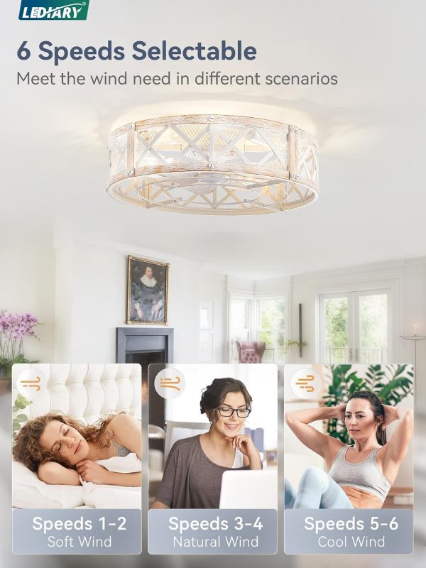 windphoto 20" Caged Farmhouse Ceiling Fan with Light, Flush Mount, White Gold | Remote&APP Control, Small Low Profile, Rustic Fandaliers, Industrial Bladeless Enclosed, Powerful Motor for Bedroom, Kitchen