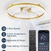 windphoto 24" Low Profile Ceiling Fans with Light and Remote, Fandelier Gold | Reversible Airflow, 3000-6000K Dimmable LED, 6 Speeds, DC Motor, Memory, Timer, Flush Mount, Bedroom, Living Room, Kitchen