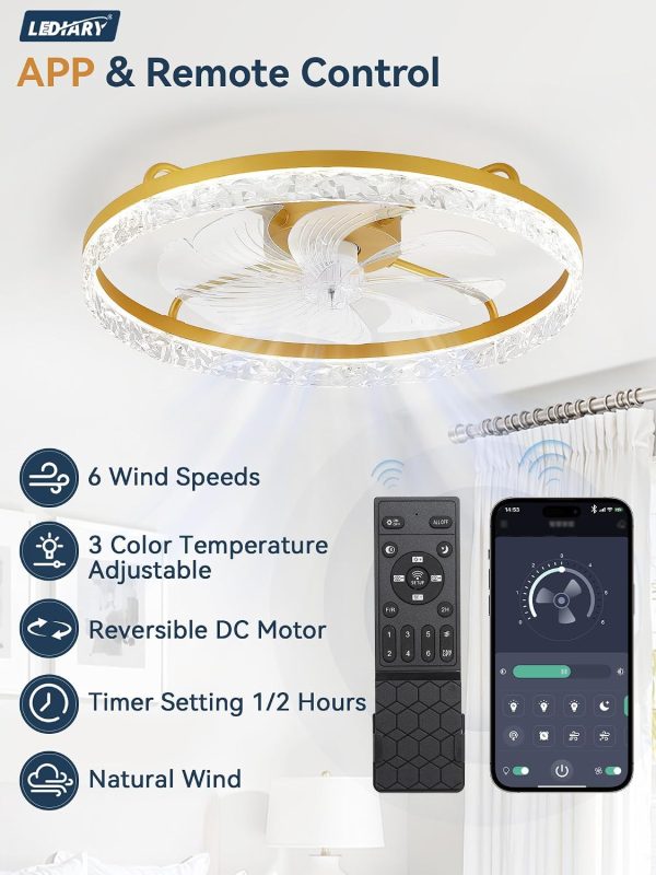 windphoto 24" Low Profile Ceiling Fans with Light and Remote, Fandelier Gold | Reversible Airflow, 3000-6000K Dimmable LED, 6 Speeds, DC Motor, Memory, Timer, Flush Mount, Bedroom, Living Room, Kitchen