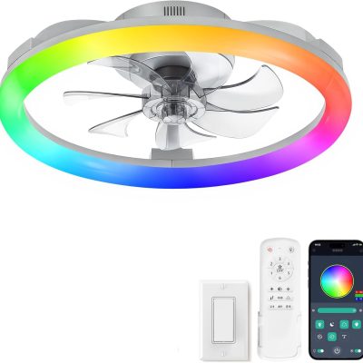 71BNMUCBBtL._AC_SL1500_.jpg windphoto 20" Ceiling Fans with Lights and Remote for Bedroom, Grey | RGB Low Profile Fan Light, 3000K-6000K Stepless Dimmable, 6 Speed, Reversible DC Motor, APP & Remote Control, Low Noice