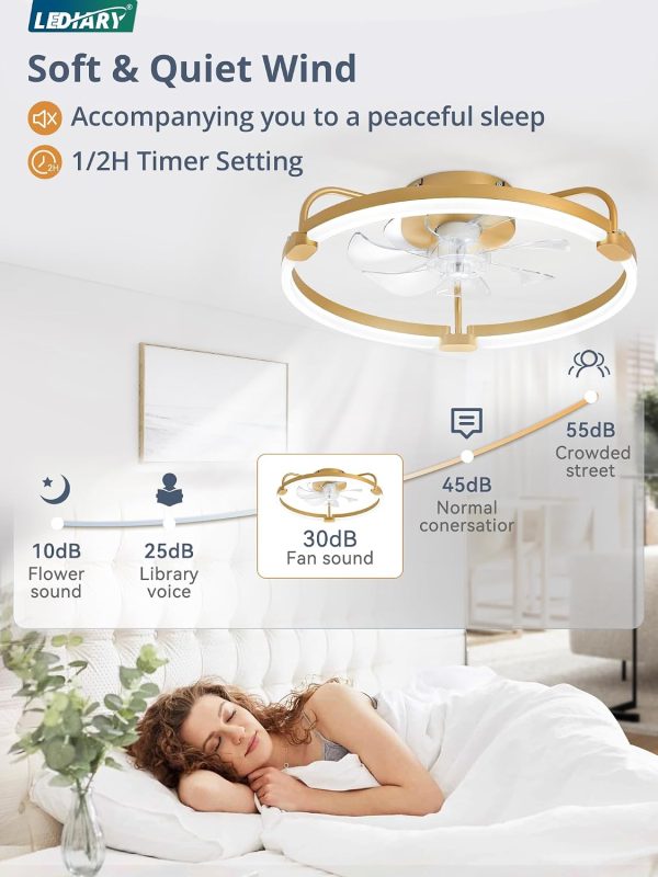 71CMCE1ML._AC_SL1500_.jpg windphoto 20" Ceiling Fans with Lights and Remote, Low Profile Led Fan Light | Flush Mount, Stepless Dimmable Fandelier, 6 Speeds, 3 CCT, Quiet Reversible DC Motor, 2H Timer, Bedroom, Living Room, Gold