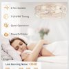 71D2etDMorL._AC_SL1500_.jpg windphoto 23" Caged Ceiling Fan with Light and Remote, Large Fandalier, White | Flush Mount Low Profile, APP Control, Bladeless Industrial Enclosed, Quiet & Powerful for Bedroom, Kitchen, Dining Room
