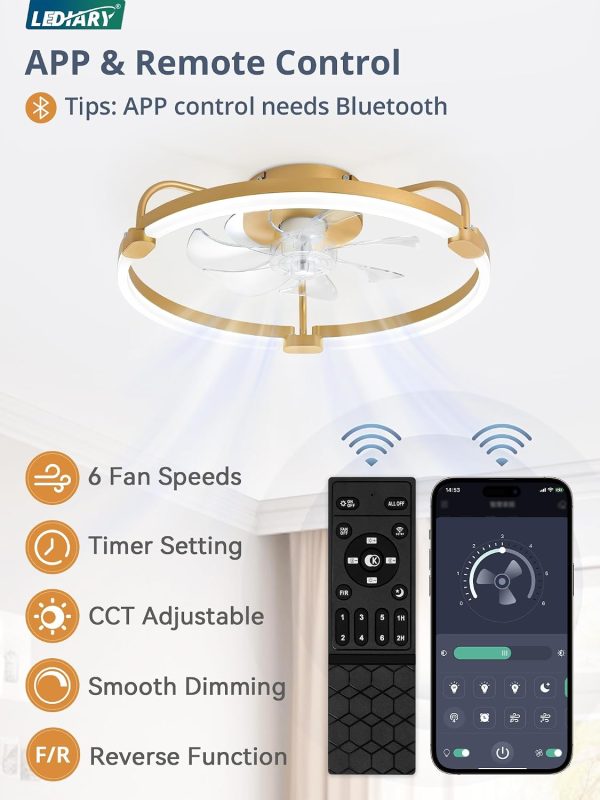 71D704XKQJL._AC_SL1500_.jpg windphoto 20" Ceiling Fans with Lights and Remote, Low Profile Led Fan Light | Flush Mount, Stepless Dimmable Fandelier, 6 Speeds, 3 CCT, Quiet Reversible DC Motor, 2H Timer, Bedroom, Living Room, Gold