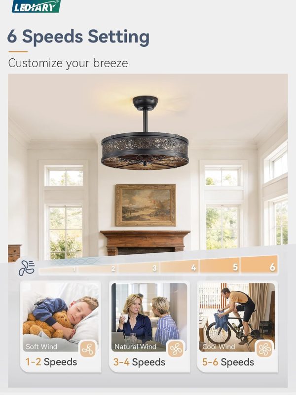windphoto 20" Caged Farmhouse Victorian Ceiling Fan with Light, Black | Downrod, Bladeless Enclosed Fandelier, 6 Speed, Quiet Powerful DC, Rustic,Vintage, Rustic, Small, Bedroom, Kitchen