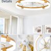 windphoto 24" Ceiling Fans with Lights, Low Profile Fandelier for Bedroom | Flush Mount Fan Light, Stepless Dimmable, App/Remote Control, 3 CCT Led, 6 Speeds, Quiet Reversible DC Motor, Gold