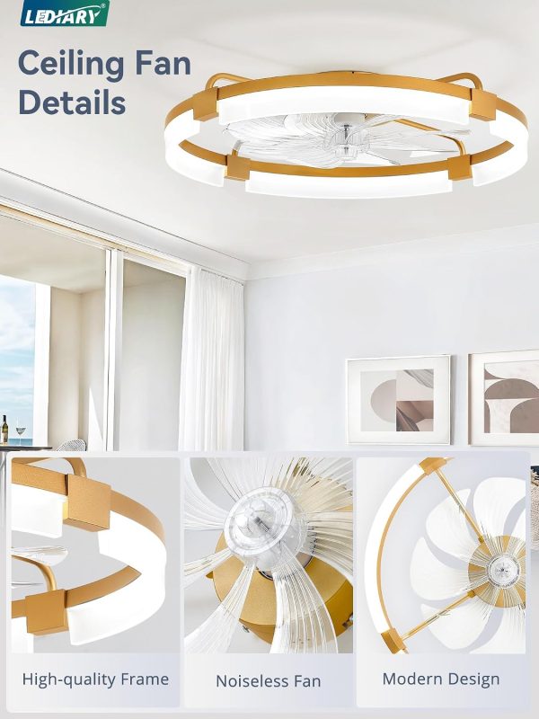 windphoto 24" Ceiling Fans with Lights, Low Profile Fandelier for Bedroom | Flush Mount Fan Light, Stepless Dimmable, App/Remote Control, 3 CCT Led, 6 Speeds, Quiet Reversible DC Motor, Gold