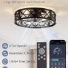 windphoto 20" Caged Farmhouse Ceiling Fan with Light, Flush Mount, Black | Remote&APP Control, Small Low Profile, Rustic Fandaliers, Industrial Bladeless Enclosed, Powerful Motor for Bedroom, Kitchen