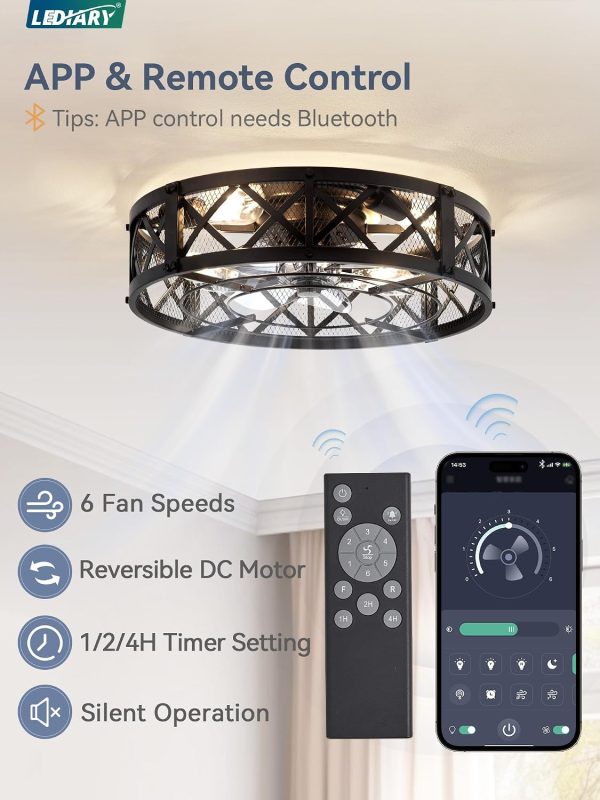 windphoto 20" Caged Farmhouse Ceiling Fan with Light, Flush Mount, Black | Remote&APP Control, Small Low Profile, Rustic Fandaliers, Industrial Bladeless Enclosed, Powerful Motor for Bedroom, Kitchen