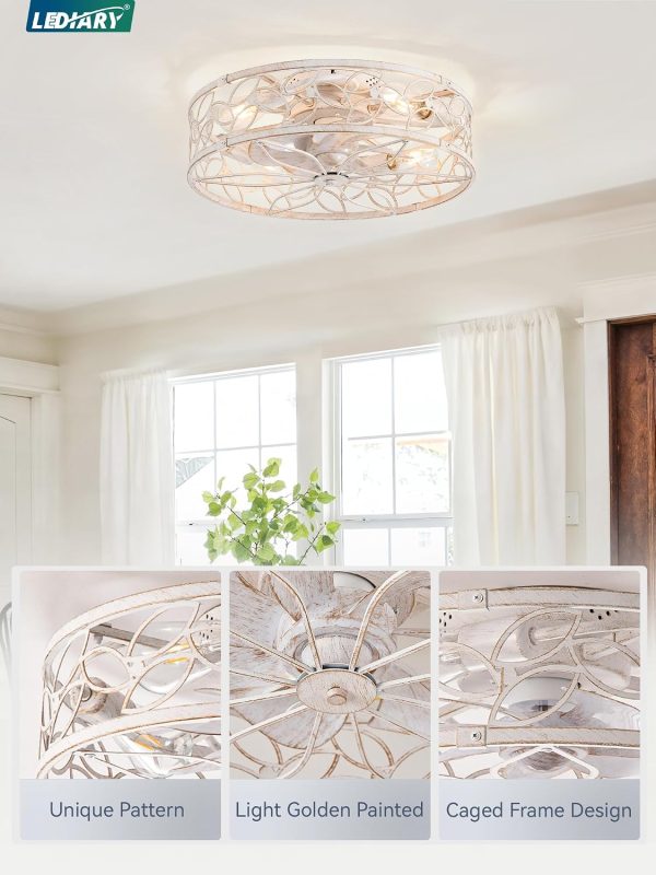 71DtSCIoaEL._AC_SL1500_.jpg windphoto 20" Caged Ceiling Fan with Light, Flush Mount Fandalier with Remote | Low Profile, Farmhouse Small, Bladeless Industrial, Quiet DC Motor, App Control for Bedroom, Kitchen, Dining Room, White Gold