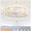 windphoto 20" Caged Farmhouse Ceiling Fan with Light, Flush Mount, White Gold | Remote&APP Control, Small Low Profile, Rustic Fandaliers, Industrial Bladeless Enclosed, Powerful Motor for Bedroom, Kitchen