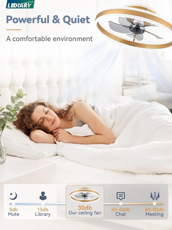 71ESsSlwdL._AC_SL1500_.jpg windphoto 19.7'' Modern Low Profile Ceiling Fans with Lights and Remote,Gold | 3000-6000K Dimmable LED, 6 Wind Speeds, Quiet Reversible DC Motor, Small Flush Mount Fandelier for Bedroom, Living Room