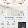 windphoto 24" Ceiling Fans with Lights, Low Profile Fandelier for Bedroom | Flush Mount Fan Light, Stepless Dimmable, App/Remote Control, 3 CCT Led, 6 Speeds, Quiet Reversible DC Motor, Gold