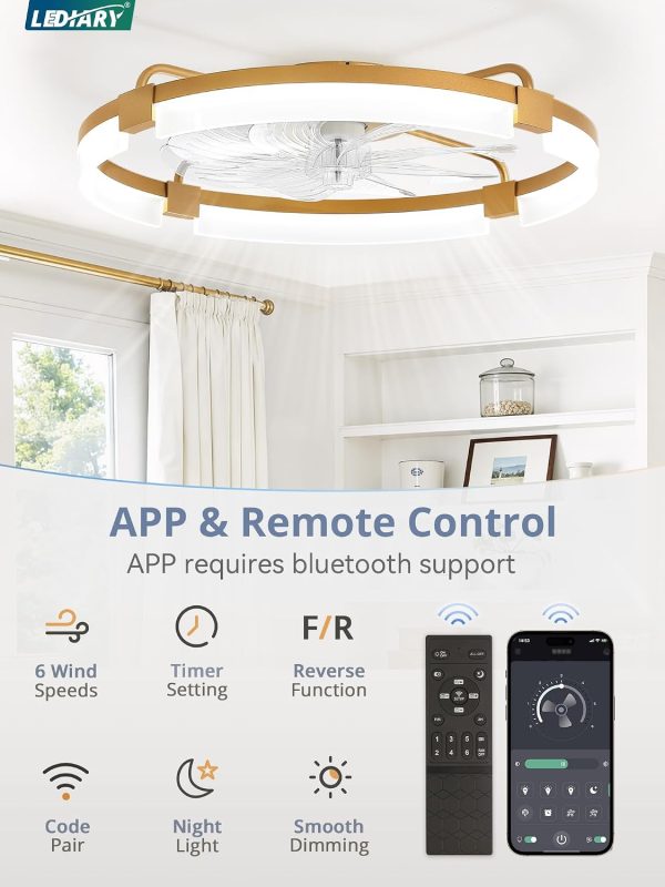 windphoto 24" Ceiling Fans with Lights, Low Profile Fandelier for Bedroom | Flush Mount Fan Light, Stepless Dimmable, App/Remote Control, 3 CCT Led, 6 Speeds, Quiet Reversible DC Motor, Gold